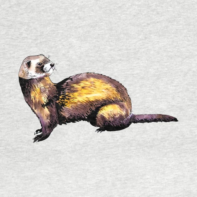 ferret by VicaVeresk